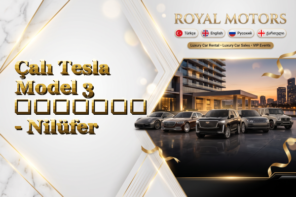 Çalı Tesla Model 3 გაყიდვა - Nilüfer