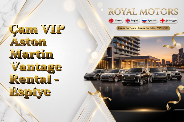 Çam VIP Aston Martin Vantage Rental - Espiye