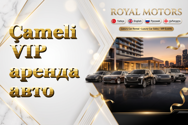 Çameli VIP аренда авто