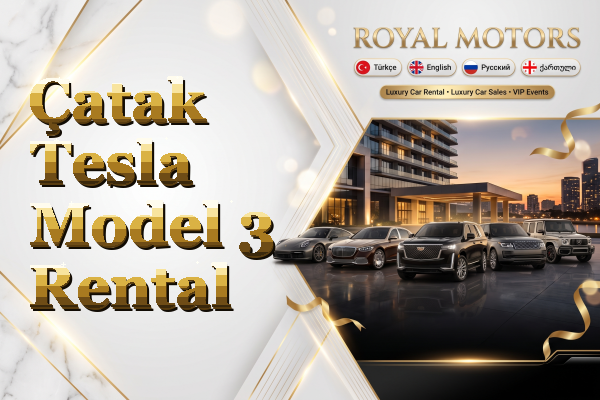 Çatak Tesla Model 3 Rental