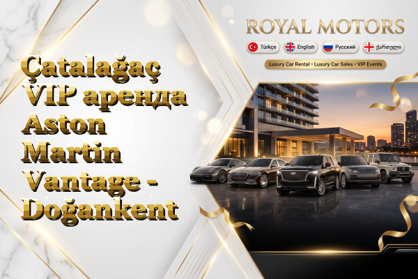 Çatalağaç VIP аренда Aston Martin Vantage - Doğankent