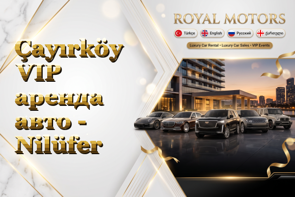 Çayırköy VIP аренда авто - Nilüfer