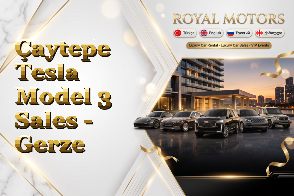 Çaytepe Tesla Model 3 Sales - Gerze