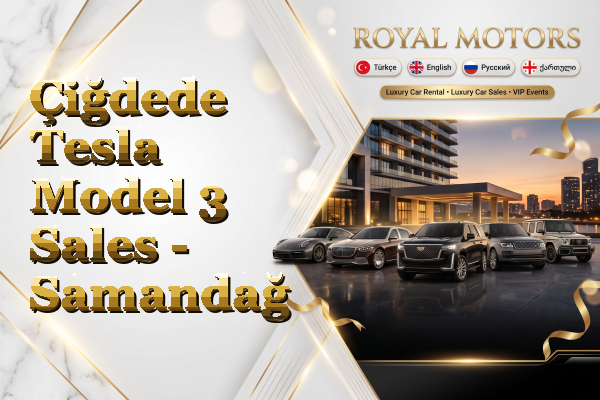 Çiğdede Tesla Model 3 Sales - Samandağ