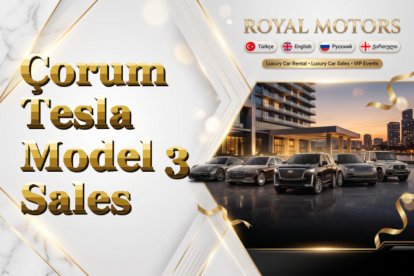 Çorum Tesla Model 3 Sales