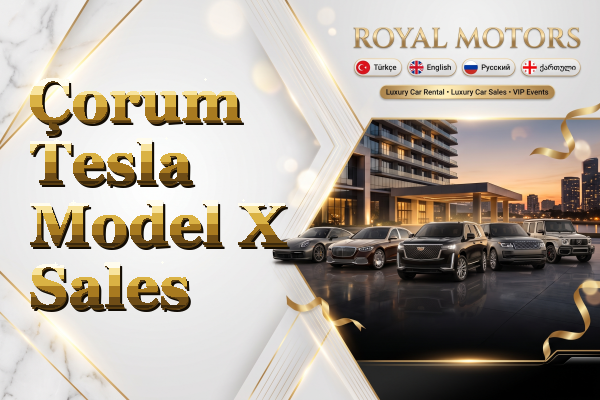 Çorum Tesla Model X Sales