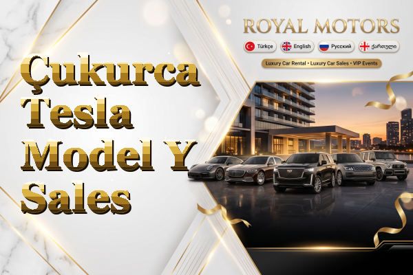 Çukurca Tesla Model Y Sales
