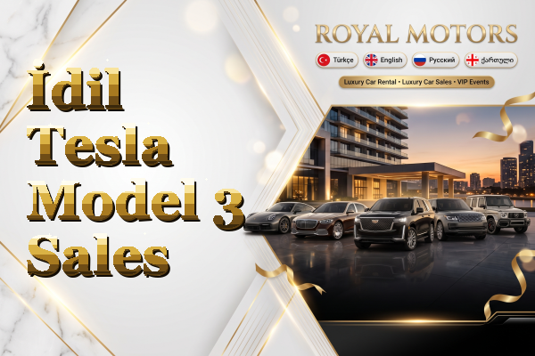İdil Tesla Model 3 Sales