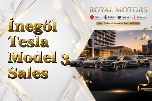 İnegöl Tesla Model 3 Sales
