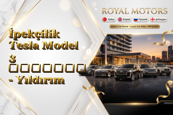 İpekçilik Tesla Model 3 გაყიდვა - Yıldırım