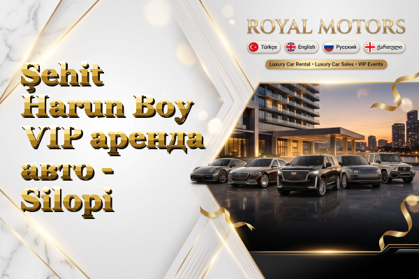 Şehit Harun Boy VIP аренда авто - Silopi