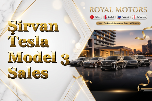 Şirvan Tesla Model 3 Sales