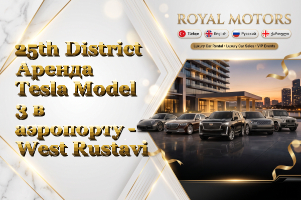 25th District Аренда Tesla Model 3 в аэропорту - West Rustavi
