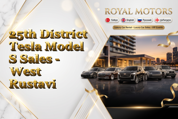 25th District Tesla Model S Sales - West Rustavi