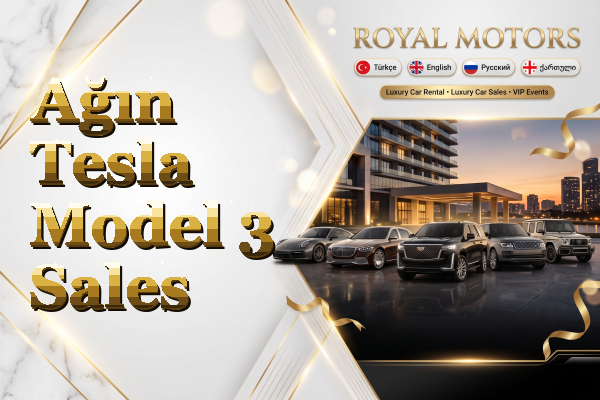 Ağın Tesla Model 3 Sales