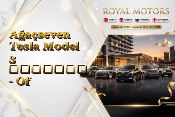 Ağaçseven Tesla Model 3 გაყიდვა - Of