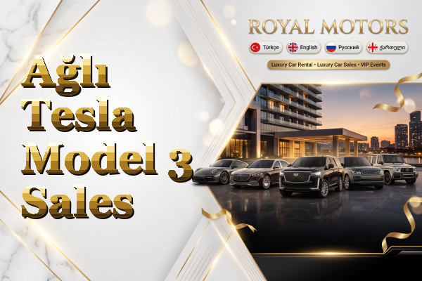Ağlı Tesla Model 3 Sales