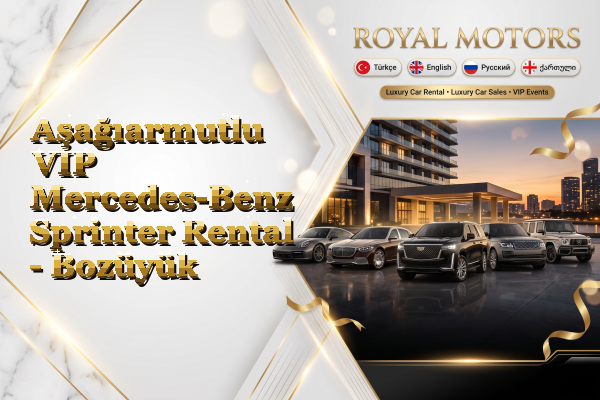 Aşağıarmutlu VIP Mercedes-Benz Sprinter Rental - Bozüyük