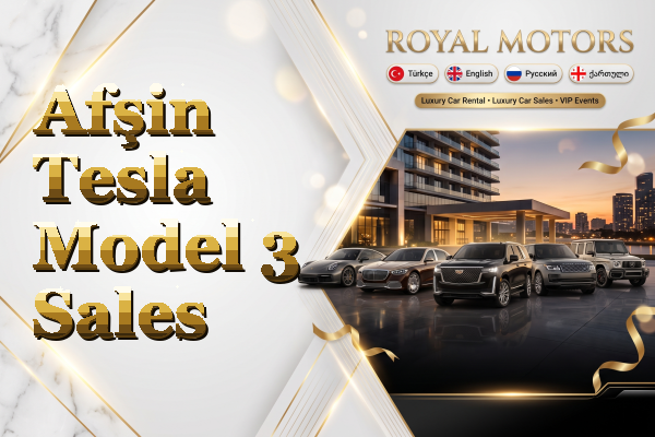 Afşin Tesla Model 3 Sales
