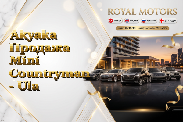 Akyaka Продажа Mini Countryman - Ula