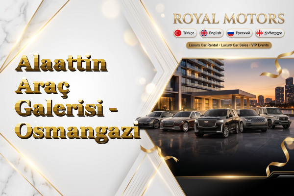 Alaattin Araç Galerisi - Osmangazi