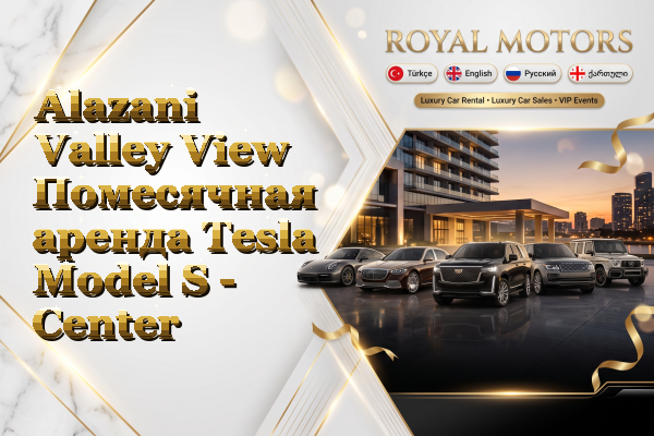 Alazani Valley View Помесячная аренда Tesla Model S - Center