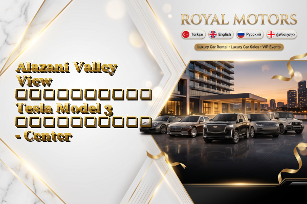 Alazani Valley View აეროპორტის Tesla Model 3 გაქირავება - Center