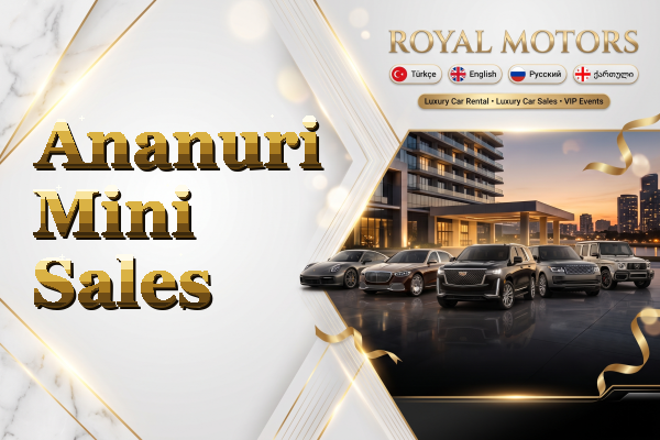 Ananuri Mini Sales