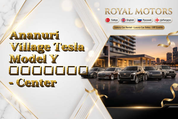 Ananuri Village Tesla Model Y გაყიდვა - Center