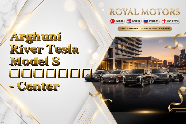 Arghuni River Tesla Model S გაყიდვა - Center