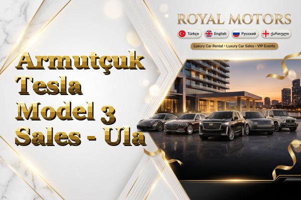 Armutçuk Tesla Model 3 Sales - Ula
