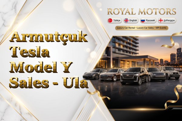 Armutçuk Tesla Model Y Sales - Ula