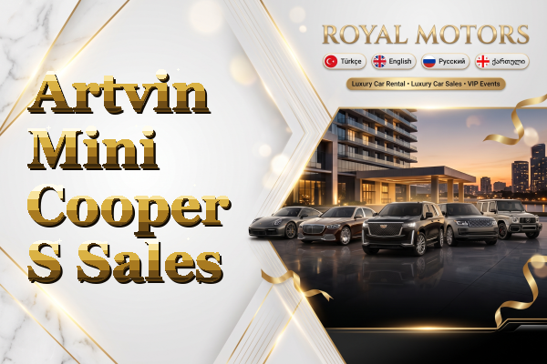 Artvin Mini Cooper S Sales