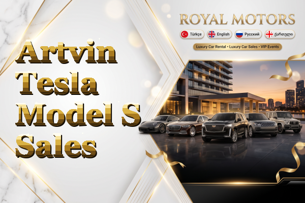 Artvin Tesla Model S Sales