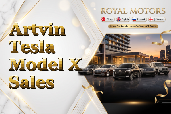 Artvin Tesla Model X Sales