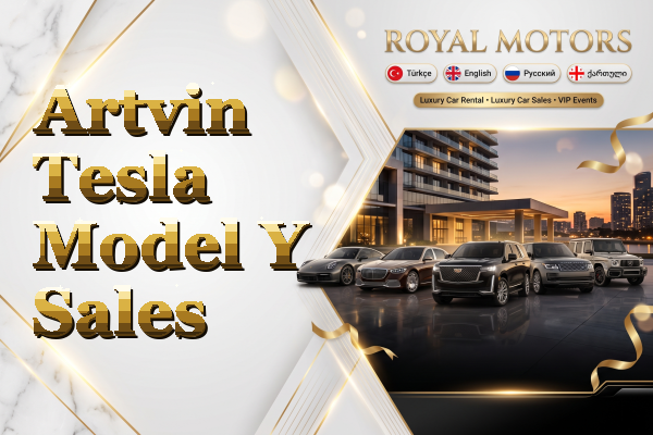 Artvin Tesla Model Y Sales
