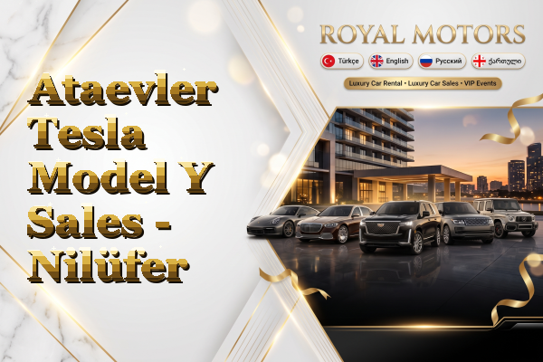 Ataevler Tesla Model Y Sales - Nilüfer