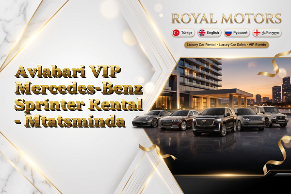 Avlabari VIP Mercedes-Benz Sprinter Rental - Mtatsminda
