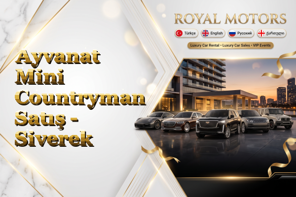Ayvanat Mini Countryman Satış - Siverek