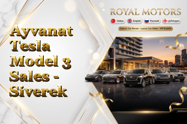 Ayvanat Tesla Model 3 Sales - Siverek