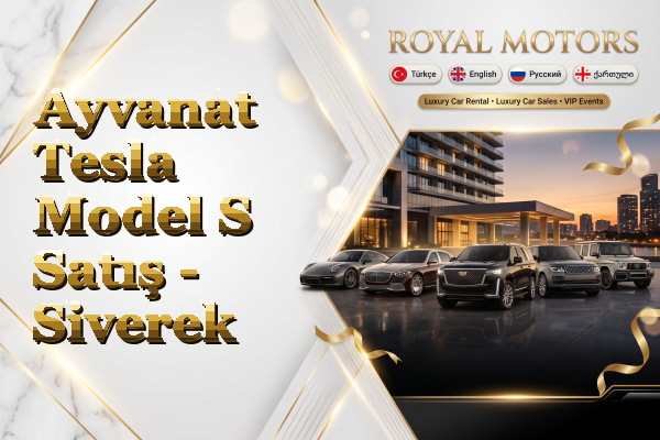 Ayvanat Tesla Model S Satış - Siverek