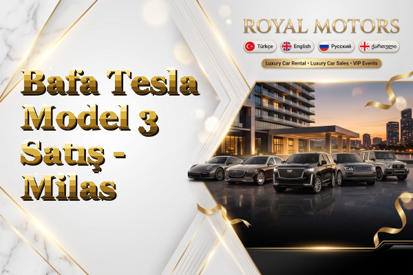 Bafa Tesla Model 3 Satış - Milas