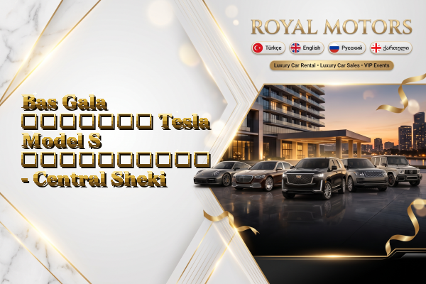Bas Gala მძღოლით Tesla Model S გაქირავება - Central Sheki