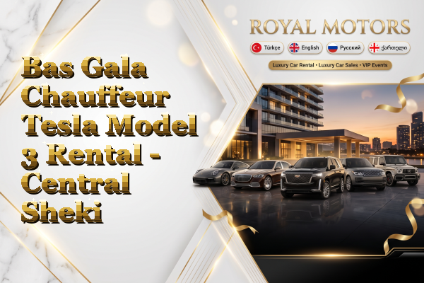 Bas Gala Chauffeur Tesla Model 3 Rental - Central Sheki