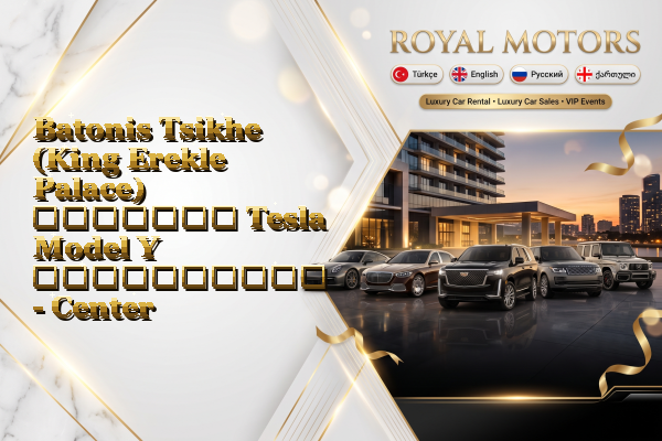 Batonis Tsikhe (King Erekle Palace) მძღოლით Tesla Model Y გაქირავება - Center