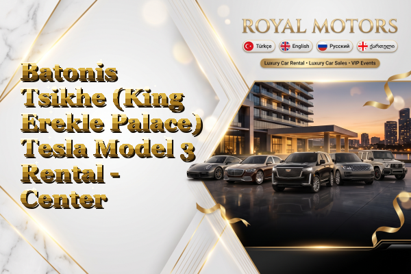 Batonis Tsikhe (King Erekle Palace) Tesla Model 3 Rental - Center