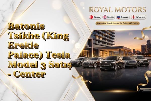 Batonis Tsikhe (King Erekle Palace) Tesla Model 3 Satış - Center