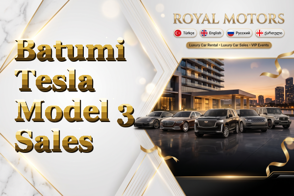 Batumi Tesla Model 3 Sales