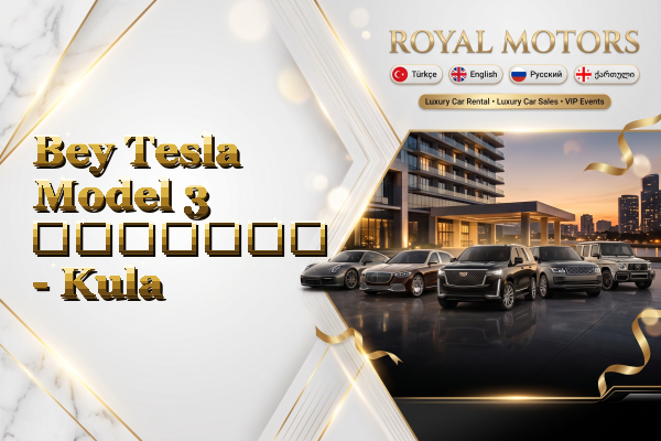 Bey Tesla Model 3 გაყიდვა - Kula