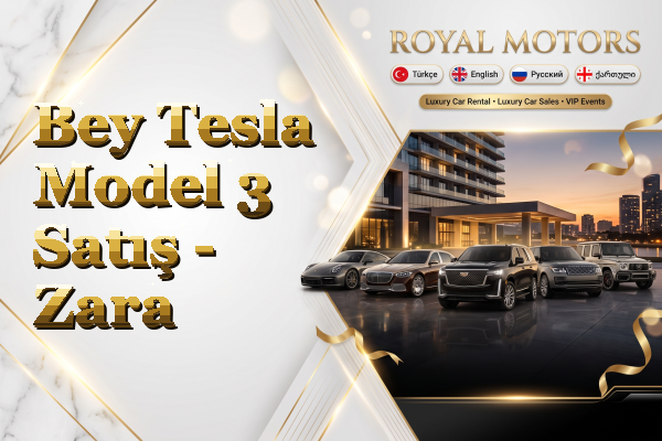 Bey Tesla Model 3 Satış - Zara